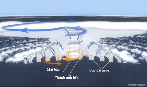 Diagram of typhoon structure with basic components: eye, eyewall, and spiral rain bands