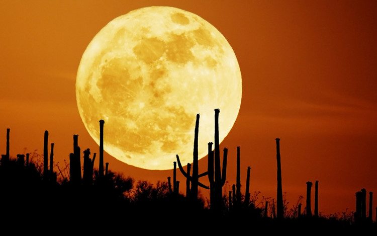 The Moon is 30% brighter during a Supermoon.