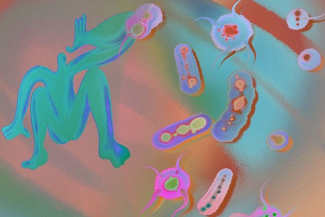 When bacteria become resistant, common infections become harder to treat