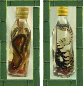 Snake Wine