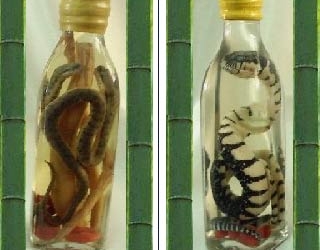 snake wine
