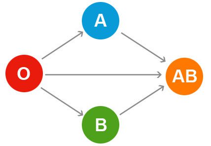 Blood transfusion diagram.