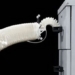 soft robotic arm breakthrough for complex tasks 137659