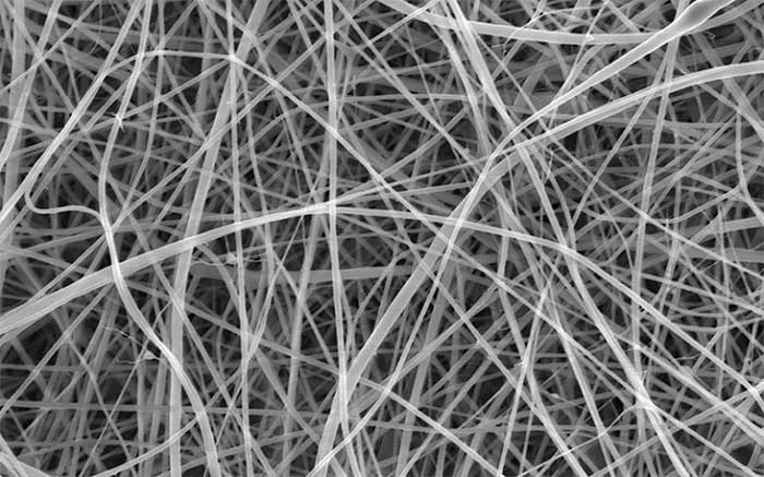 Nanopasta fibers under a scanning electron microscope.