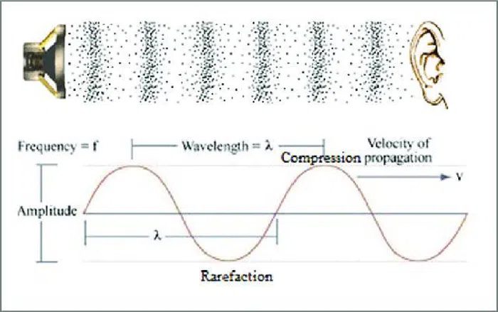 Electromagnetic waves can transmit without a medium, while sound waves cannot.