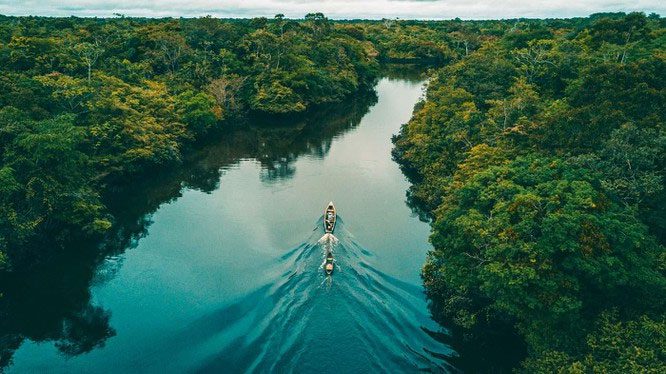 The Amazon River is the largest river in the world