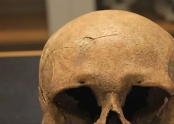 stunning signs of violence causing death by vikings in norway and denmark 136866