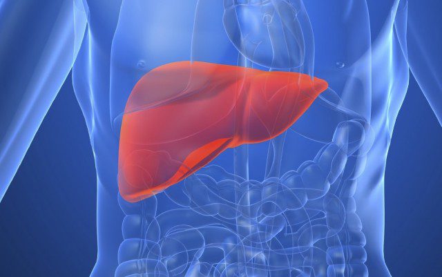 Liver Failure: Causes, Symptoms, and Prevention