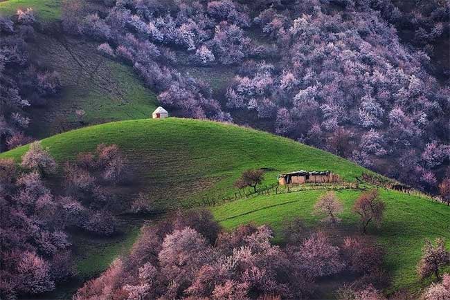 Xinjiang is a resource-rich region of China.