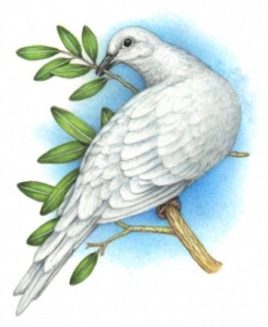 The dove with an olive branch is a symbol of peace