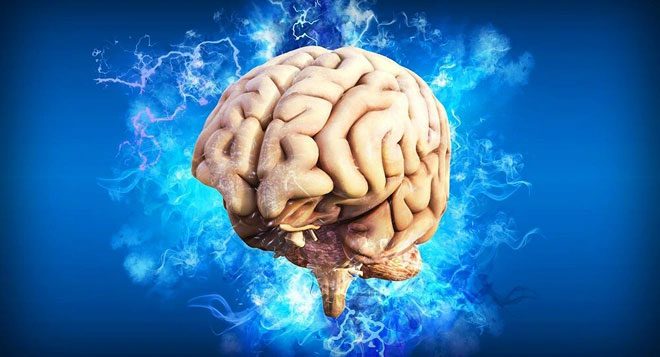 Neurons are the glue that holds our memories together in the correct sequence.