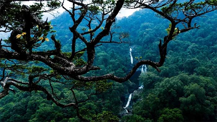 The flow of water and the width of the waterfall change with the seasons.