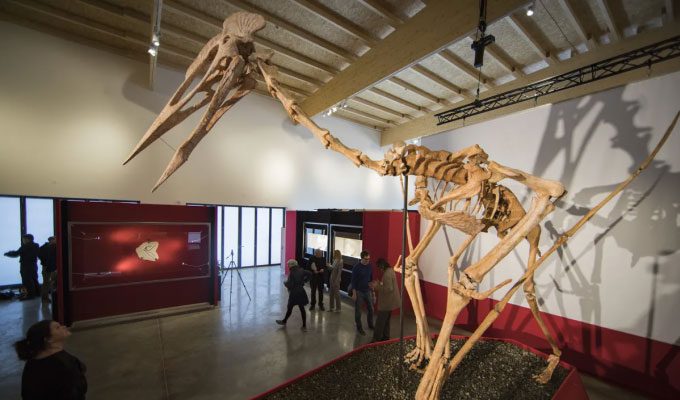 Model of the Dracula flying lizard at the Altmuhltal Dinosaur Museum, Germany.