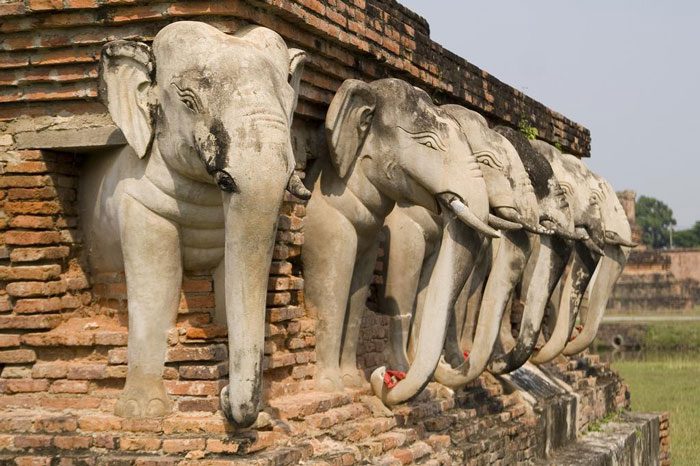 The Burmese army, during their invasion of the capital, ordered the burning and destruction of many magnificent architectural works of the Ayutthaya dynasty.