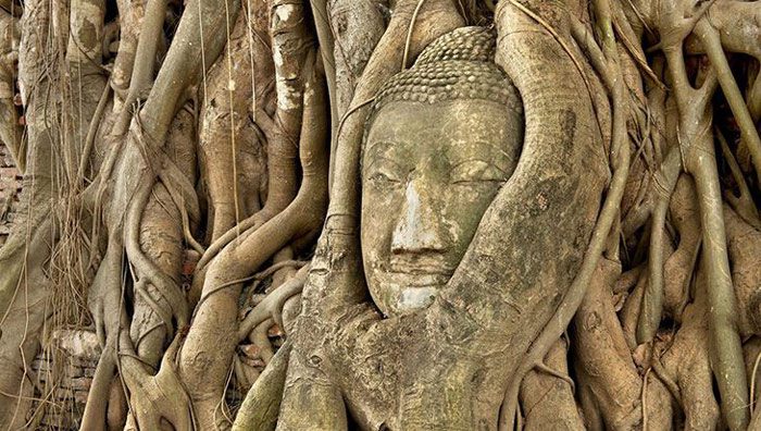 Ayutthaya is also regarded as a Cultural Heritage Park with lush greenery from ancient trees and smooth grass interspersed among the architectural ruins