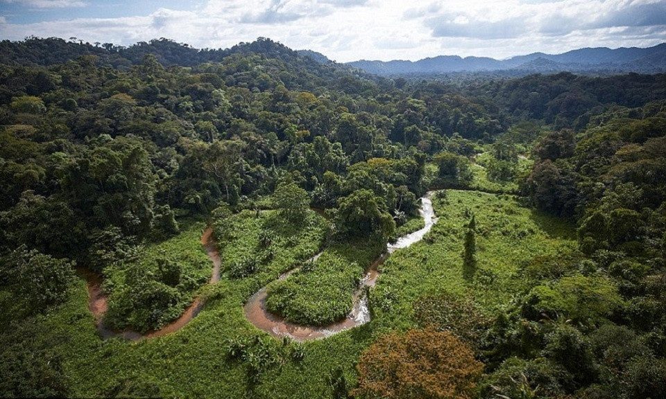 An international team of explorers and archaeologists faced a deadly disease while searching for the lost city of the Monkey God.