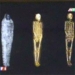 the 3 800 year old mummy from egypt exhibited in toulouse france 1872