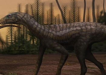 the appearance of a 237 million year old giant lizard like dinosaur 137133