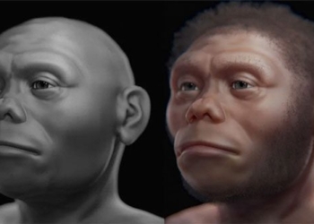 the appearance of humans 50000 years ago 128391