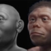 the appearance of humans 50000 years ago 128391