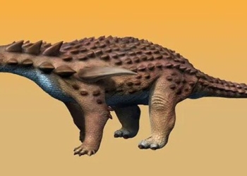 the armour of the ankylosaurus can withstand the impact of a high speed car crash