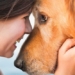 the brain of the dog can synchronize with us when we look into its eyes 136816