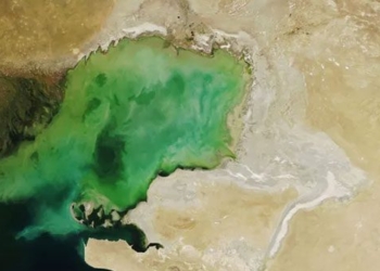 the greatest caspian sea disaster on earth is getting more urgent 137471