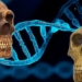 the influence of neanderthal and denisovan genes on modern humans today 138142