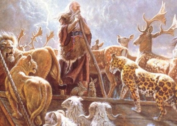 the legend of the noah ark is it true or not 47029