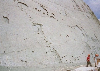 the mystery of the wall touching thousands of dinosaur footprints 137823