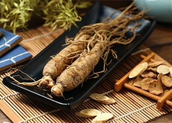 the real effects of ginseng on health 130658