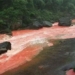 the river dyeing red in china during the flood season drinks made from this famous water everyone knows 121056