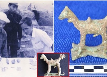 the secret of the 3000 year old unique animal of vietnam discovered in the frightening place is a national relic 130878 2