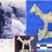 the secret of the 3000 year old unique animal of vietnam discovered in the frightening place is a national relic 130878 2