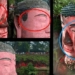 the secret of the buddha statues tears in leshan scientific phenomenon or myth 137075