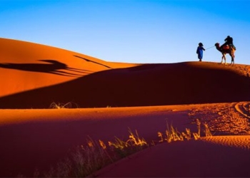 the true facts very few people know about the sahara desert 94072