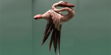the truth about the 300 year old swan raising in siberia 137566