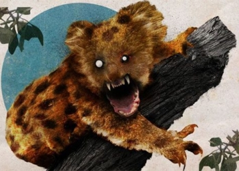 the truth about the meat eating bear in australian myths 110193