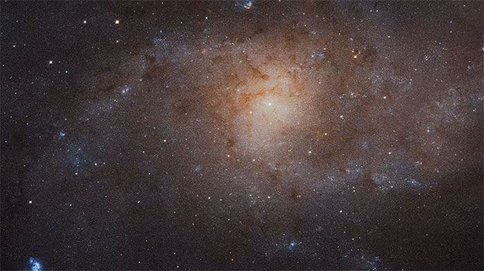 Image of the Large Triangulum Galaxy