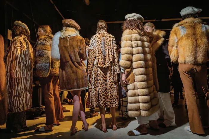 Fur fashion was once exclusively reserved for the aristocracy and elite.