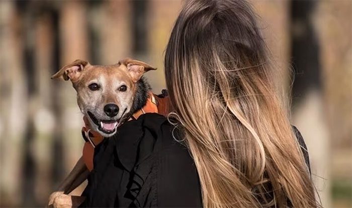 Some individuals choose not to evacuate out of fear of leaving their pets behind.