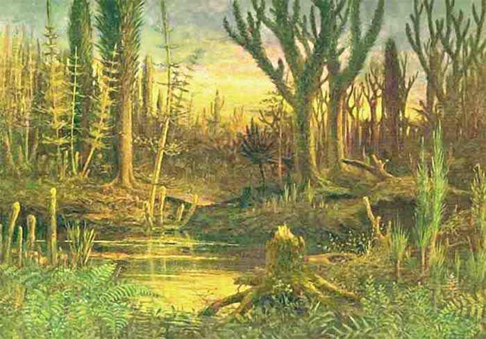 Plants caused 70% of life extinction during the Devonian period