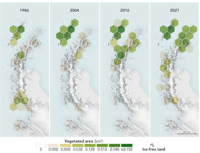 Four panels show the extent of green vegetation on ice-free land of the Antarctic Peninsula.