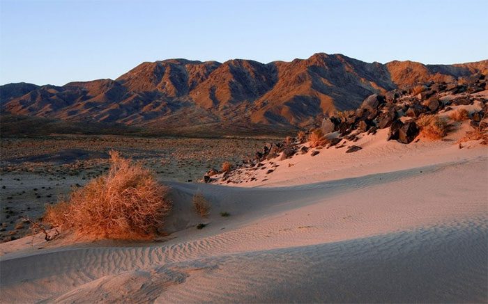 Deserts have a unique ecosystem with biodiversity and distinctive landscapes.