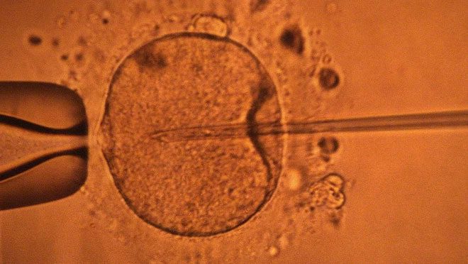 New research shows that sperm sends specific signals to persuade a woman's body.