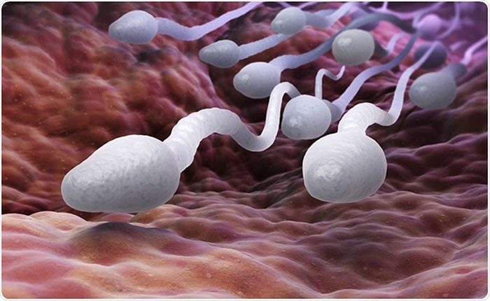 Human sperm swimming defies Newton's Third Law.