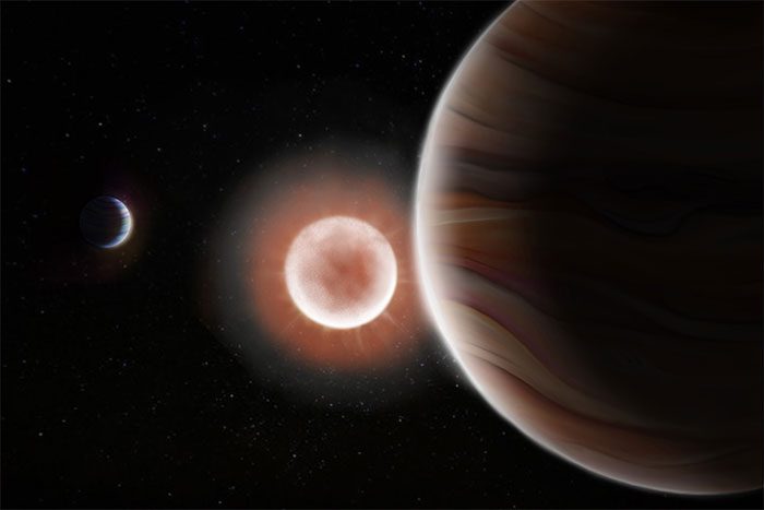 Red dwarf star TOI-4600 and the two "gas giants" it hosts