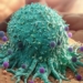 top 7 types of viruses that can lead to cancer you should know 137719