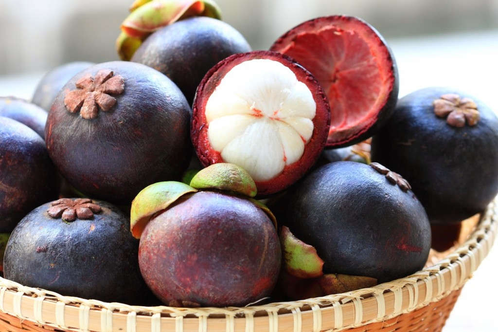 Mangosteen