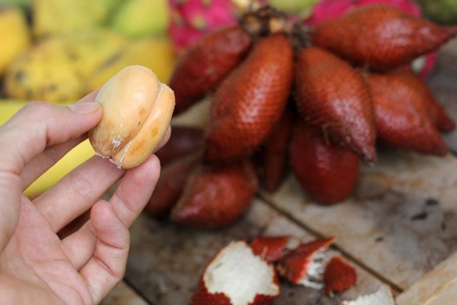 Salak (Snake Fruit)